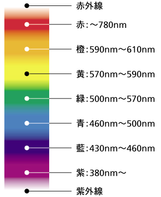 (Wavelength)