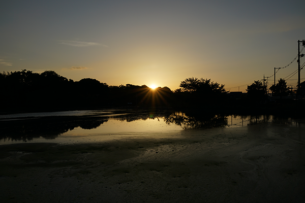 DSC01223.png