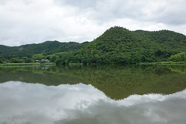 DSC01498.png