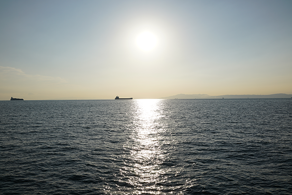 DSC03311.png