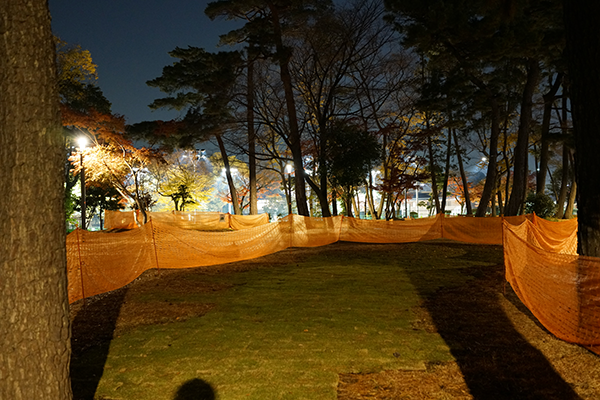DSC03413.png