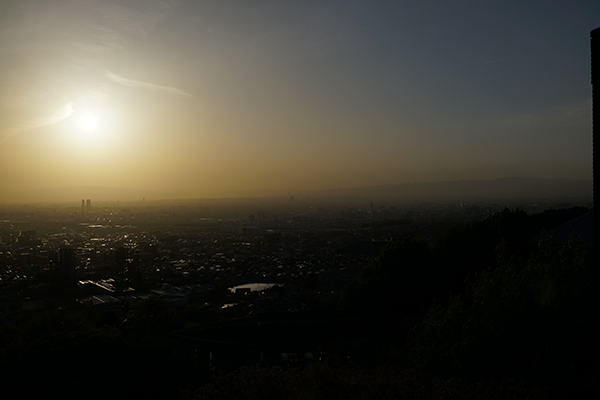 DSC04741.png