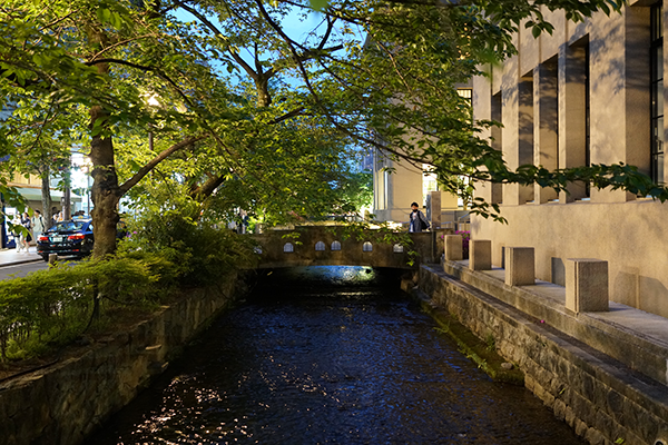DSC04764.png